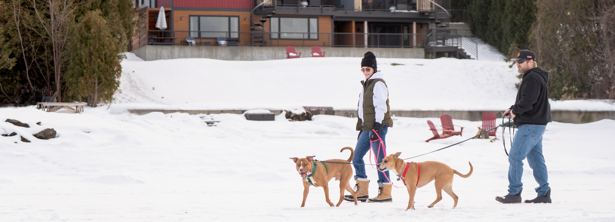 Pet friendly hotels Burlington