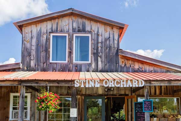 Stine Orchard